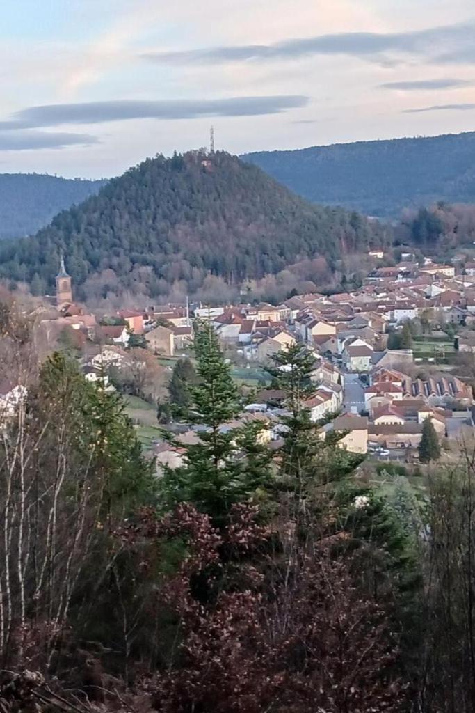 Charmant Gite, Au Calme, Avec Vue Imprenable Sur La Nature Environnante Deycimont 外观 照片