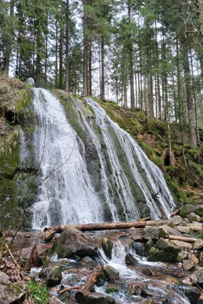 Charmant Gite, Au Calme, Avec Vue Imprenable Sur La Nature Environnante Deycimont 外观 照片